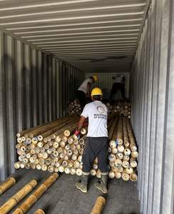 Varas de Bambú Largas de 6m y 12m para Construcción Estructural, Tratamiento Personalizado Antitermitas, Fabricante - Product Image 6