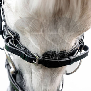 Brida para Caballo de Cuero PU de Alta Calidad con Hebillas, Cómoda, Duradera, con Logotipo Personalizado, Ajustable, con Acolchado Suave para Montar - Product Image 6
