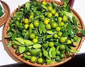 JUS DE FRUITS CALAMANSI PUR SOUS FORME CONGELÉE FABRIQUÉ À PARTIR DE SOURCES VÉGÉTALES PROPRES - Product Image 4