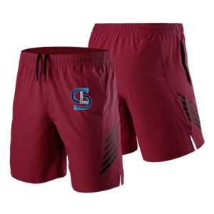 Short de gymnastique d'été léger pour hommes, vêtements de fitness en coton de haute qualité avec fermeture à la taille élastique, style décontracté à prix abordable - Product Image 4