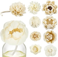 Sola Wood Flower Room Fragrance Fait à la main Sola Flower Echo Friendly Sola Flower E Alternative naturelle à l'air Freshen Reed Diffus