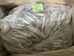 Anchoa azul entera fresca Vietnam IQF MARISCOS CONGELADOS exportación 24 meses vida útil sellado al vacío embalaje a granel proveedor mayorista - Product Image 3