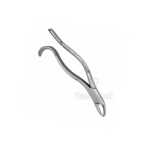 Fórceps de extracción Dental Manual reutilizables de alta calidad, equipo de Steeliness de patrón inglés, precio en instrumentos quirúrgicos dentales - Product Image 6