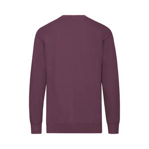 Fruit du métier à tisser Sweat-shirt adulte/Fruit du métier à tisser/M721334-1734 textile - Product Image 3