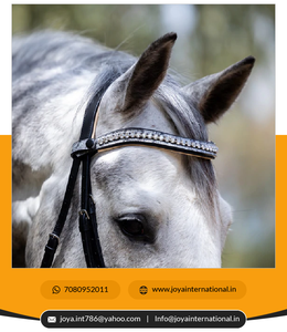 Bride de cheval vénitien en édition limitée de haute qualité du fournisseur indien authentique Bride saisonnière de réduction de poids en gros - Product Image 6