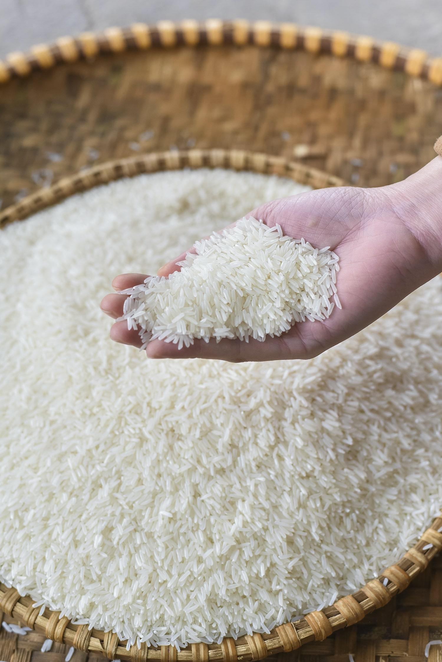 Thailand Jasmine Rice - Premium Long Grain White Rice