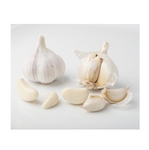 <b>Fresh</b> Peeled <b>Garlic</b> for Export - Compliant with International Food Safety Standards - Product Image 4