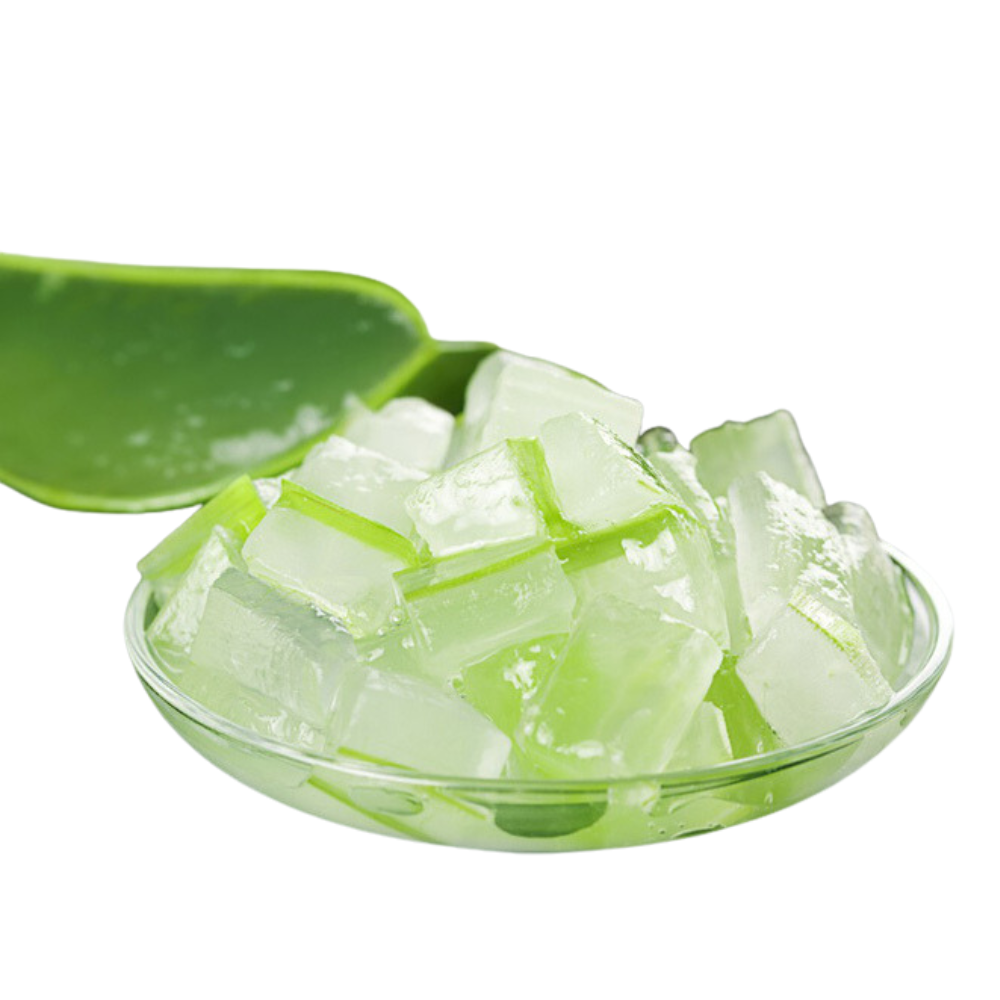 Vegan-friendly Aloe Vera Gel Jelly - White Cube from Vietnam