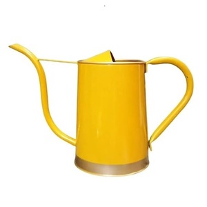 Arrosoir en métal de vente chaude pour les plantes d'extérieur et d'intérieur arrosoir de jardinage galvanisé avec poignées en acier inoxydable - Product Image 3