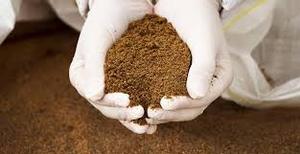 Farine de poisson Terra Bio pour l'alimentation animale de bonne qualité avec un bon emballage, exportation au prix le plus bas - Product Image 4