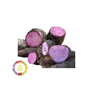 Igname douce violette vietnamienne de haute qualité cultivée naturellement fraîche et prête à l'exportation à des prix compétitifs - Product Image 2