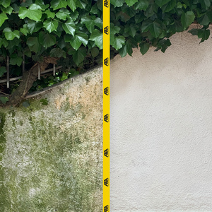 ALGAENET Eliminador Rápido de Moho y Algas, Desinfectante para Superficies Exteriores, Limpiador de Patios en Aerosol, para Piedra, Hormigón y Terracota - Product Image 3