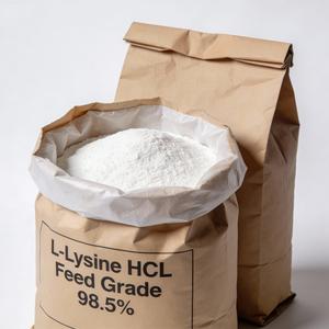 แอล-ไลซีน เอชซีแอล 98.5% ชนิดผง สำหรับใช้ในกระบวนการผลิตอาหารสัตว์ - Product Image 6