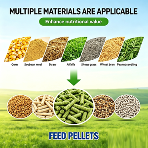 Pequeña Máquina <span class=keywords><strong>Peletizadora</strong></span> de Alimentos para Animales de 220V para Producción de Alimentos para Aves de Corral, Pollos, Peces, de Alta Capacidad - Product Image 4