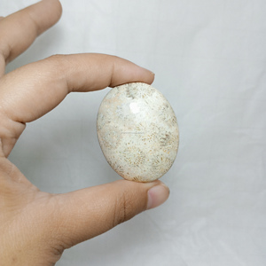 Bán Buôn Palm Đá Hóa Thạch San Hô Chất Lượng Cao Tự Nhiên <span class=keywords><strong>Indonesia</strong></span> Đá Quý Thủ Công Mỹ Nghệ Chữa Bệnh Pha Lê - Product Image 5