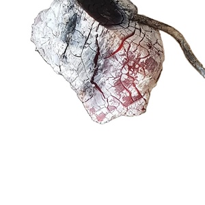 BEST BUY 2023 CARBÓN DE CAFÉ PARA BBQ carbón de madera dura carbón de Vietnam listo para exportar 84 911 735 511 - Product Image 1