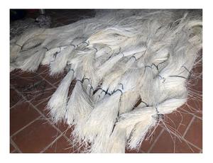 Noyau de rotin naturel VietNam de haute qualité pour les meubles-Noyau de rotin de vente chaude du Vietnam Fourniture de rotin en matériau naturel - Product Image 2