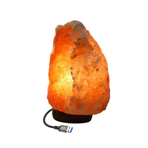 Sel de l'Himalaya sculpté à la main lampes Usb Base en bois décoration de chambre lampes à sel Base en bois naturel lampe de décoration de chambre - Product Image 5