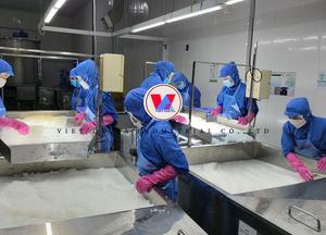 Gelatina de Coco Directo de Fábrica del Delta de Vietnam |   Suministro al por Mayor de Vietnam - Product Image 2