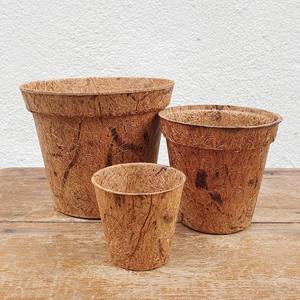 Accessoires pour plantes, serre hydroponique, jardinage, pots carrés en fibre de coco, mini pots de pépinière biodégradables à graines - Product Image 4