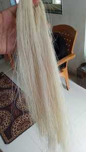 เส้นใยกล้วยหวีธรรมชาติ100% มีความยาวจนถึง100ซม. เหมาะสำหรับการวิจัยการศึกษาและการประยุกต์ใช้ทางเทคนิค - Product Image 2