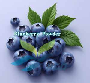 Approvisionnement direct d'usine HGO de poudre de myrtille naturelle pure (qualité alimentaire) spécification poudre de fruit (poudre de fruits ou de légumes) - Product Image 2