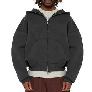 Directo de fábrica 2025 invierno algodón liso cremallera Sudadera con capucha para hombres Logo impreso bajo MOQ venta al por mayor - Product Image 4