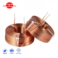 Inducteur audio personnalisé par le fabricant, à noyau d'air, en fil Litz, en feuille de cuivre, échantillon disponible pour amplificateur Hi-Fi, haut-parleur, crossover