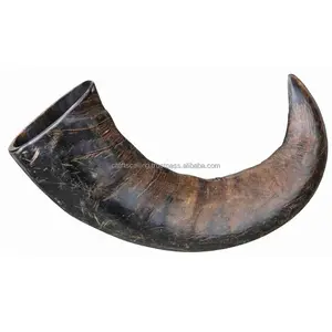 Premium Quality Horn dog chew water buffalo natural horn with dog food customized size from India by Carfts Calling