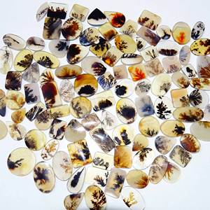 Shazar หินโมรา dendritic อัญมณี Cabochon หินอัญมณีรูปทรงผสมขายส่งและอัญมณีดีสำหรับใช้ทำเครื่องประดับ - Product Image 5