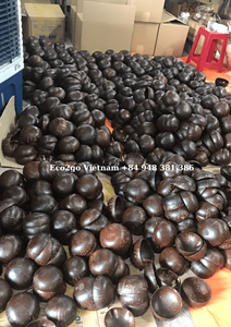 Meilleur vendeur 2025!!! Bol en coquille de noix de coco biodégradable naturel/bol en coquille de noix de coco avec cuillère du Vietnam - Product Image 3