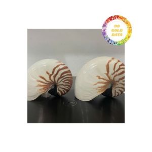 Elegantes conchas Nautilus para la fabricación de joyas Material natural de primera calidad para decoración y arte hecho a mano Vietnam - Product Image 5
