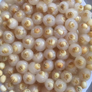 High quality Freeze Dried Fruit Snack Perfect for Smoothies Dried longan pulp Stuffed with lotus seeds manufacturer ANGLE - Product Image 4