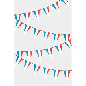 Guirlande de drapeaux triangulaires personnalisés du Luxembourg avec impression numérique et mât en fibre de verre - Product Image 1