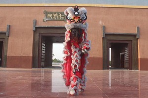 <span class=keywords><strong>Danza</strong></span> del leone cinese Performance cinese di dimensioni normali della cina cultura cinese che balla la <span class=keywords><strong>danza</strong></span> del leone due persone per adulti - Product Image 3