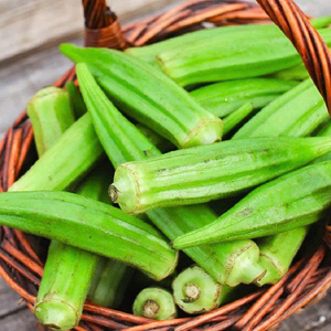 EXPORTACIÓN LISTO SUMINISTRO A GRANEL OKRA CONGELADO AL POR MAYOR CALIDAD PREMIUM NATURAL ORGANIC HOT DEAL TOP VENTAS DE CALIDAD ALIMENTARIA - Product Image 6