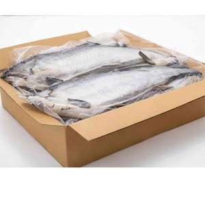 ปลาแซลมอนแช่แข็งจากนอร์เวย์คุณภาพสูง - Product Image 4