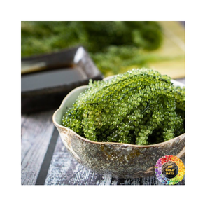 องข้อมูลจากหญ้าทะเลเกรดดีที่สุดสำหรับอุตสาหกรรมอาหารองุ่นแห้งจากทะเลขาดน้ำ99GD - Product Image 3