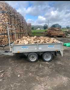 Bois dur Bois de chauffage Bois de bouleau Bois de chêne et hêtre Bois de chauffage/Mangrove Bois de chauffage en vente en vrac Quantité - Product Image 2