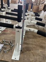Rack à squat Rhino OEM & ODM, équipement de gymnastique avec plaque de sécurité, machine à squat à ceinture pour l'entraînement des fessiers et des quads