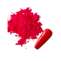 Ensemble de pigments fluorescents Neon Dip Nail Neon Pigment Powder Autres outils pour ongles pour Nail Art Stickers Gel Polish Set