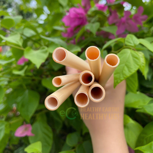 Wholesale Biodegradable Bamboo <b>Straws</b> Bamboo <b>Straw</b> <b>Reusable</b> High Quality Bamboo Customize Logo Made in Vietnam From Eco2go - Product Image 2