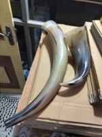 100% klaxon de buffle domestique jouet trompette klaxon décoratif fini avec trou de soufflage écologique Style Viking caractéristique animale