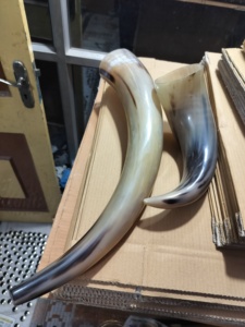 Cuerno de búfalo doméstico 100%, cuerno de trompeta de juguete, acabado decorativo con agujero de soplado, característica de Animal de estilo vikingo ecológico - Product Image 2