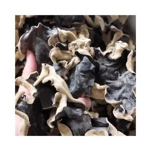 Competitive Price Vietnamese Dry Mushroom Dried Oyster Mushroom Good Quality Shiitake mushroom for food from supplier in Vietnam
