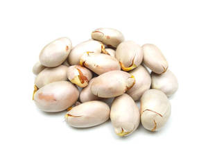 High-quality Jackfruit <b>Nut</b> Rich in Organic Health Care Supplement Organic Jackfruit <b>Nut</b> - Product Image 4