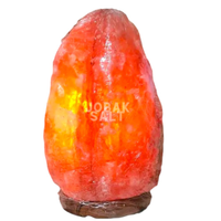Lampe en sel rose de l'Himalaya sculptée à la main JOBAK - Écologique, Feng Shui, 100% cristal pur, qualité supérieure, base en bois personnalisée