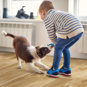 Precio DE FÁBRICA DE Vietnam Pisos SPC modernos Apto para mascotas Impermeable Resistente a los arañazos Fácil clic para apartamentos residenciales - Product Image 3