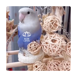 ลูกบอลหวายธรรมชาติสําหรับสัตว์เลี้ยง - หวายสัตว์เลี้ยงเคี้ยวนกแก้วหนูแฮมสเตอร์กระต่าย 100% จากเวียดนาม หวายคุณภาพสูงสําหรับสัตว์เลี้ยง - Product Image 1