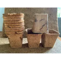 Pots de germination biodégradables en fibre de coco, design classique, pour semis et jeunes pousses, utilisation au sol en pépinière